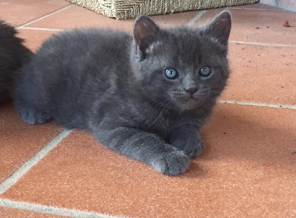 Willa Agriturismo Le Cascatelle Saturnia Zewnętrze zdjęcie